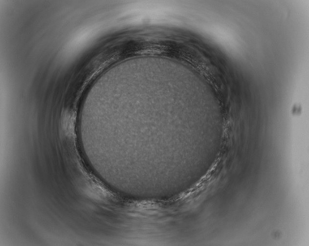 X0000102340146200808011148