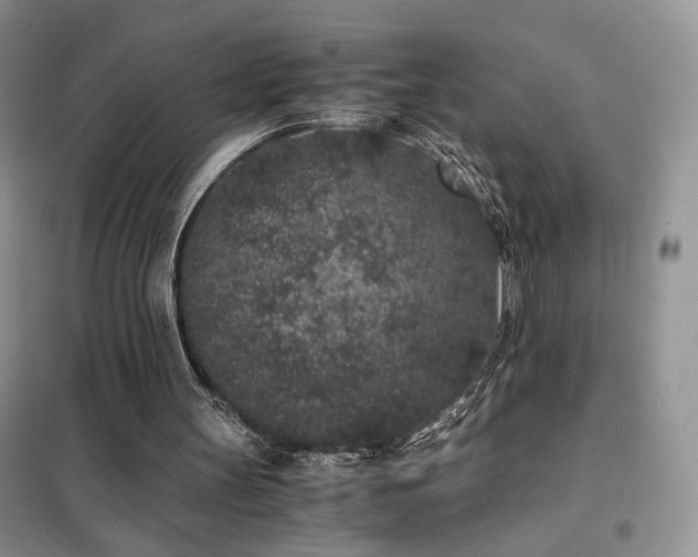 X0000102340147200808011148