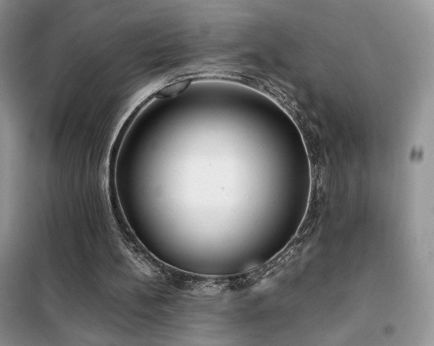 X0000102340148200808011148