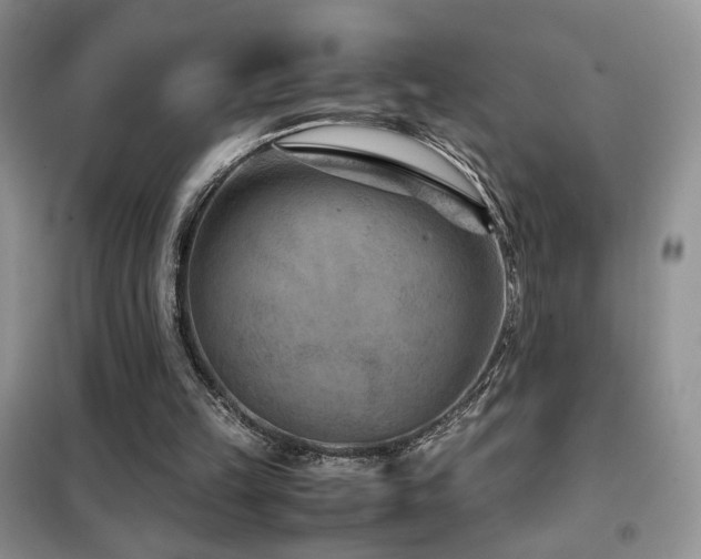 X0000102340149200808011148