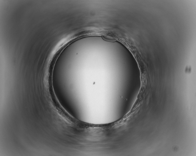 X0000102340150200808011148