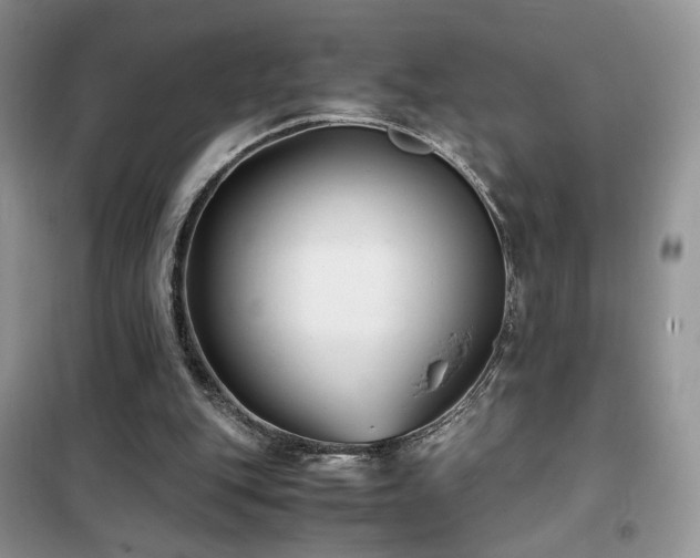 X0000102340151200808011148