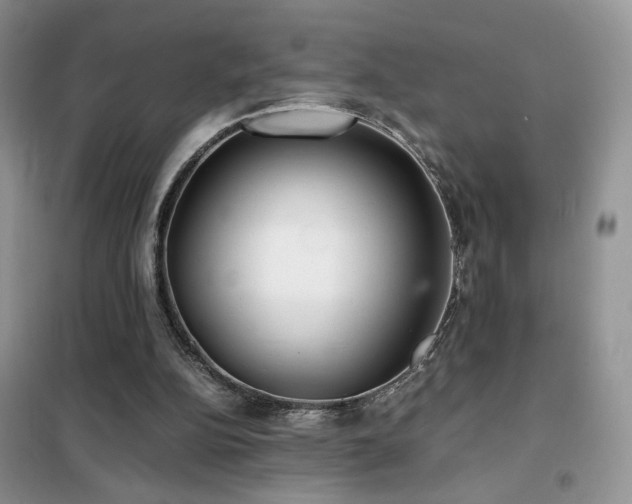 X0000102340152200808011148