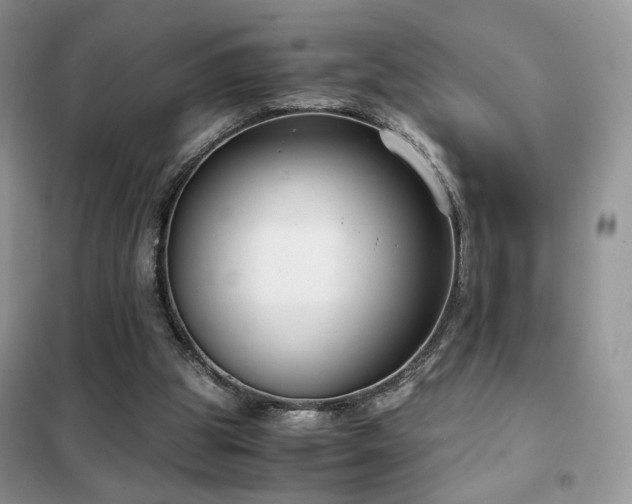 X0000102340153200808011149