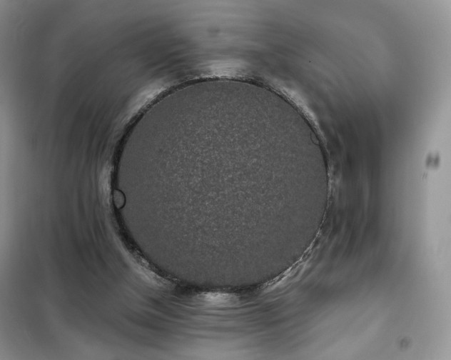 X0000102340154200808011149