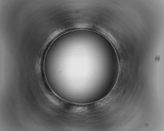 X0000102340155200808011149