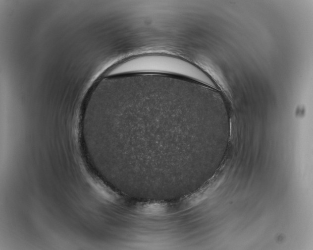 X0000102340156200808011149