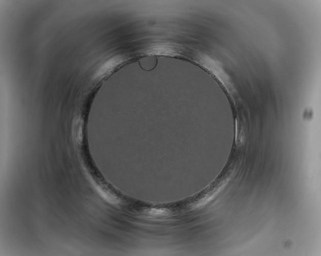 X0000102340157200808011149