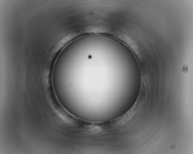 X0000102340159200808011149