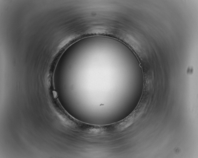 X0000102340160200808011149