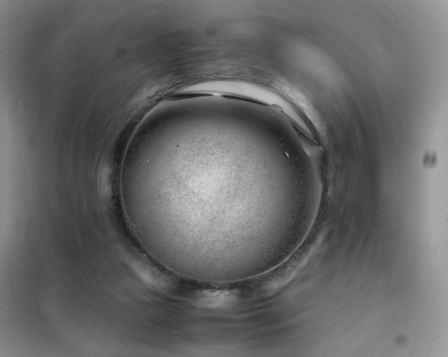 X0000102340161200808011149