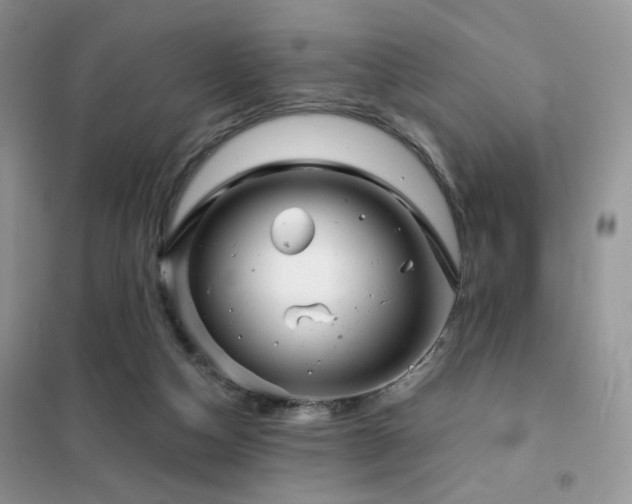 X0000102340162200808011149