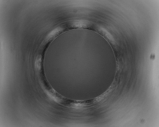 X0000102340163200808011149