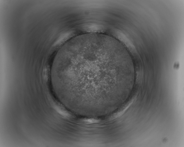 X0000102340165200808011149