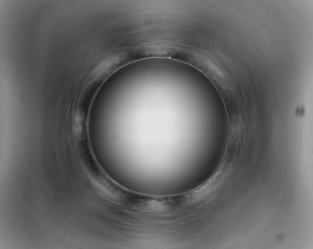 X0000102340166200808011149