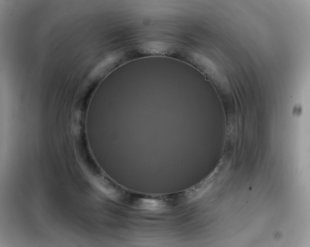 X0000102340167200808011149