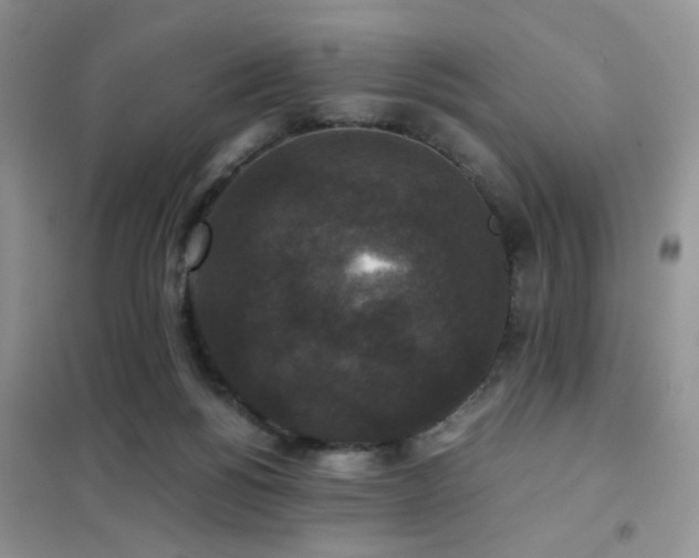 X0000102340168200808011149