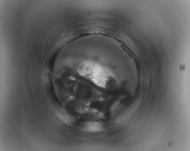 X0000102340169200808011149