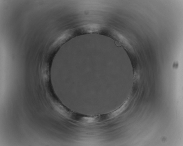 X0000102340170200808011149