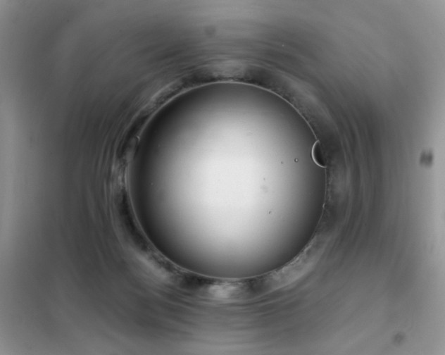 X0000102340172200808011149