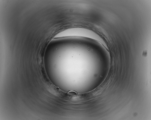 X0000102340173200808011149