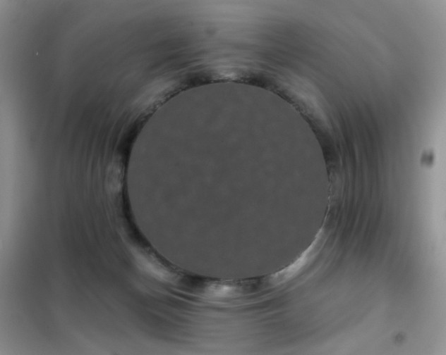 X0000102340174200808011149