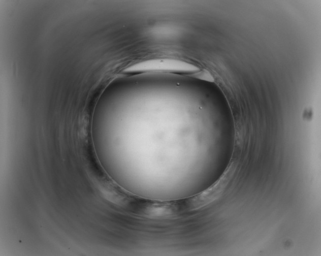 X0000102340175200808011149