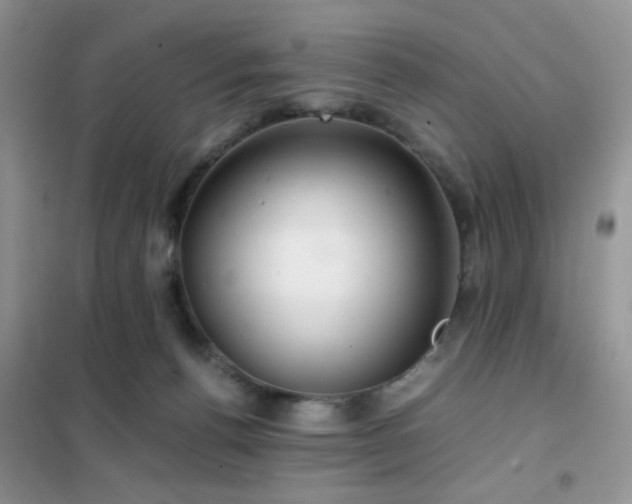 X0000102340176200808011149