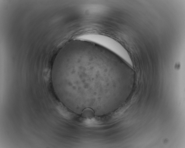 X0000102340177200808011149