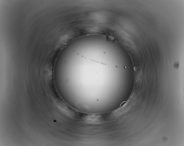 X0000102340179200808011149