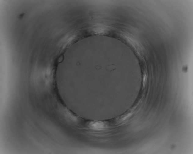 X0000102340181200808011149