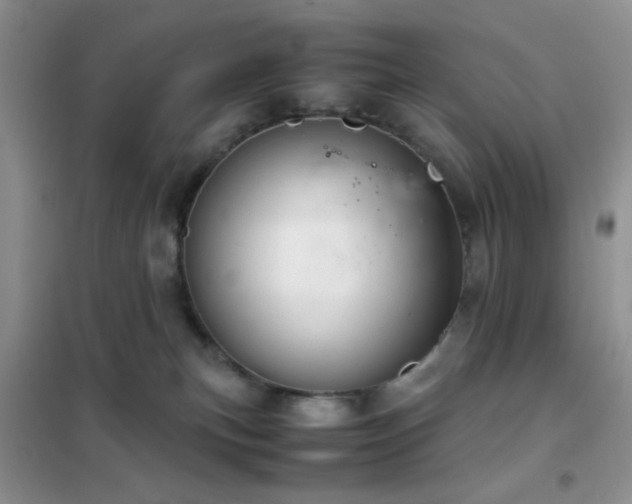 X0000102340183200808011149