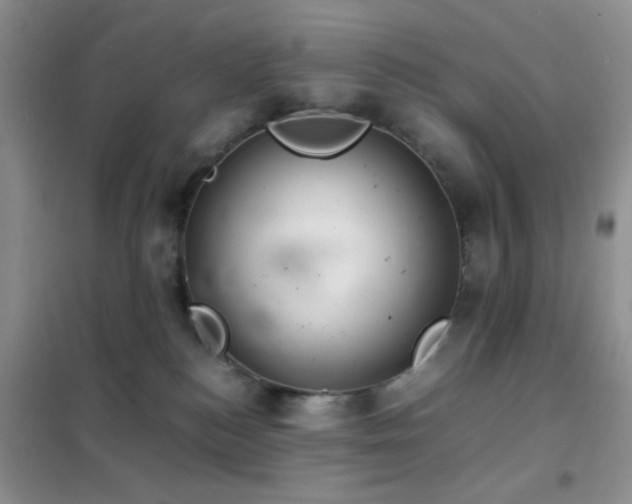 X0000102340184200808011149