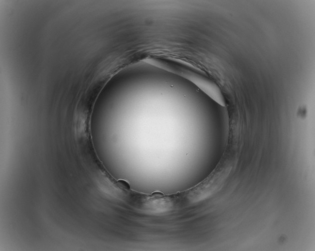 X0000102340185200808011149