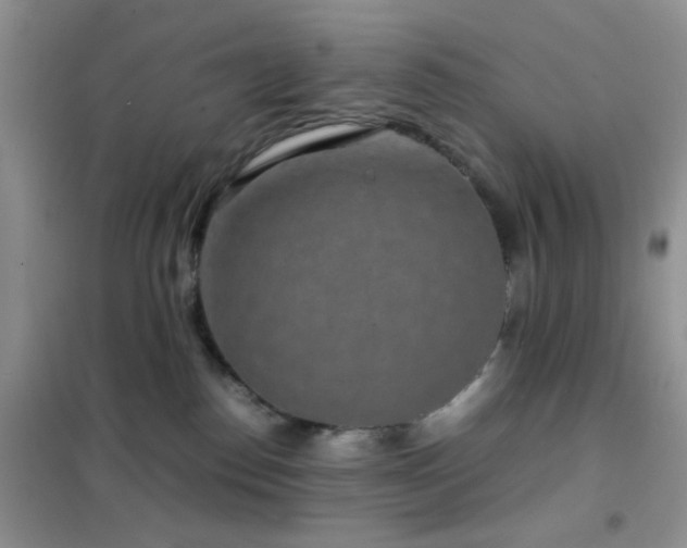 X0000102340186200808011149