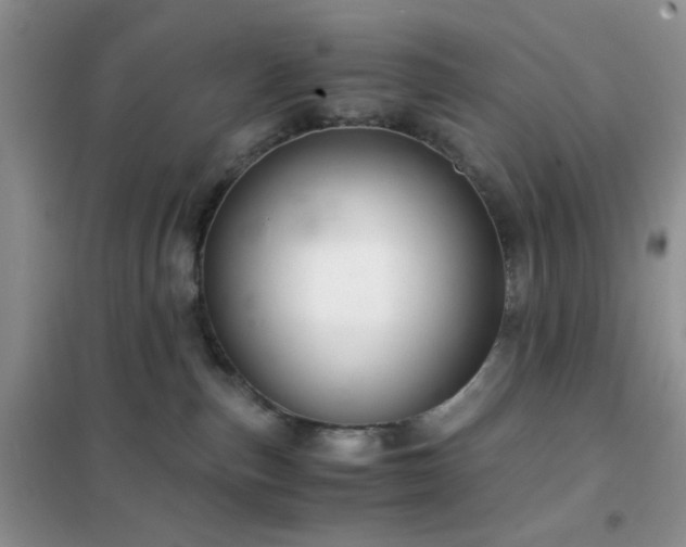 X0000102340187200808011149