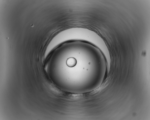 X0000102340188200808011149