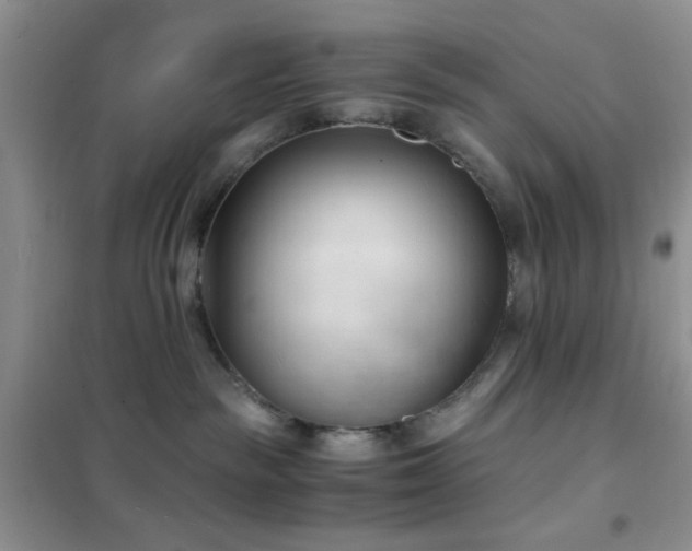 X0000102340189200808011149