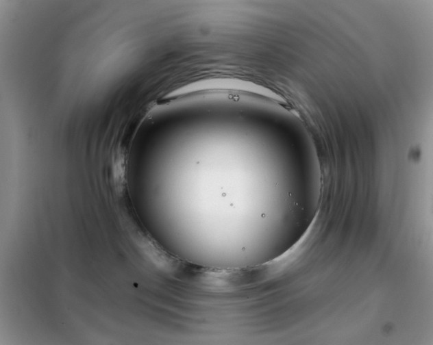 X0000102340190200808011149