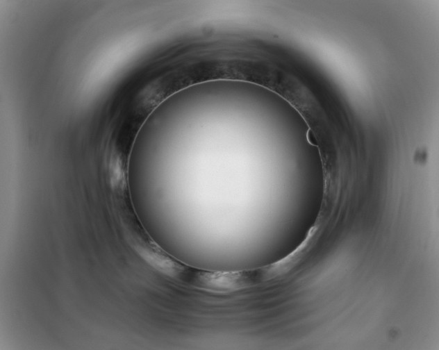 X0000102340191200808011149