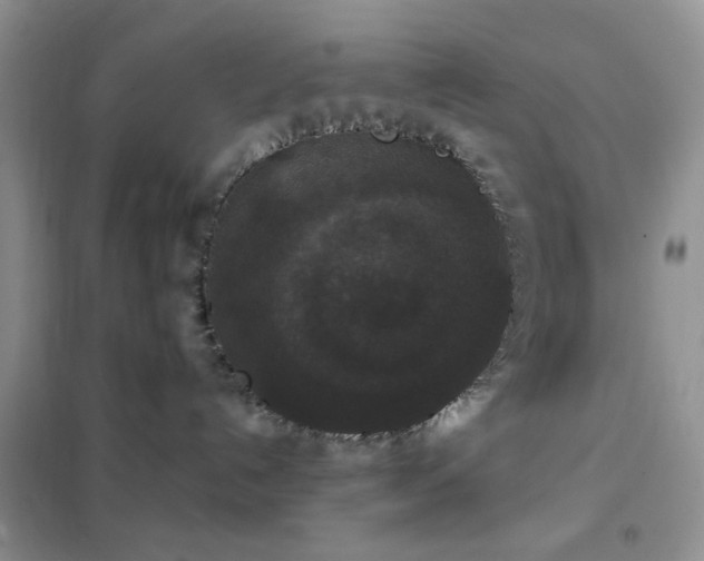 X0000102340192200808011149