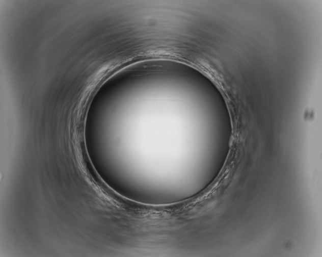 X0000102340193200808011148