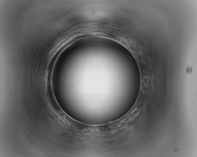 X0000102340194200808011148