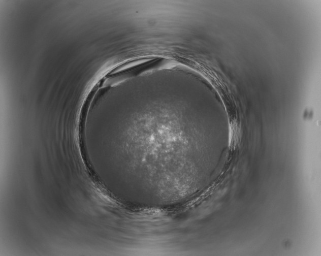 X0000102340195200808011148