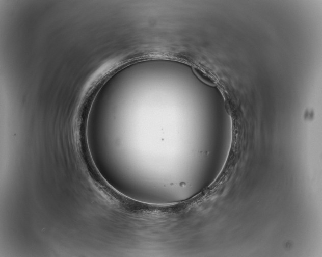 X0000102340197200808011148