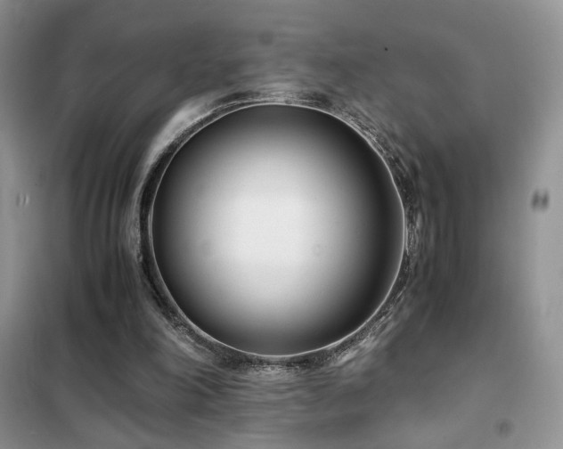 X0000102340198200808011148