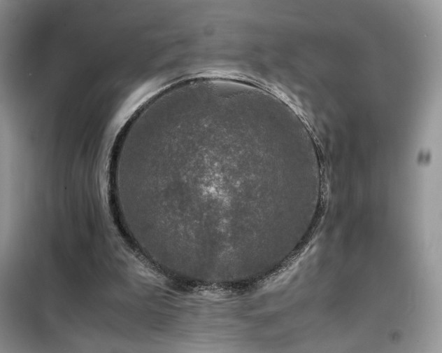 X0000102340199200808011148