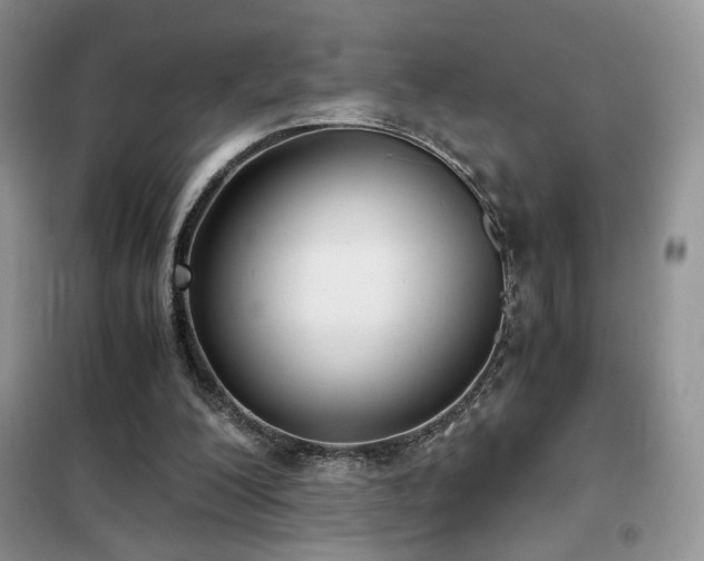 X0000102340200200808011148