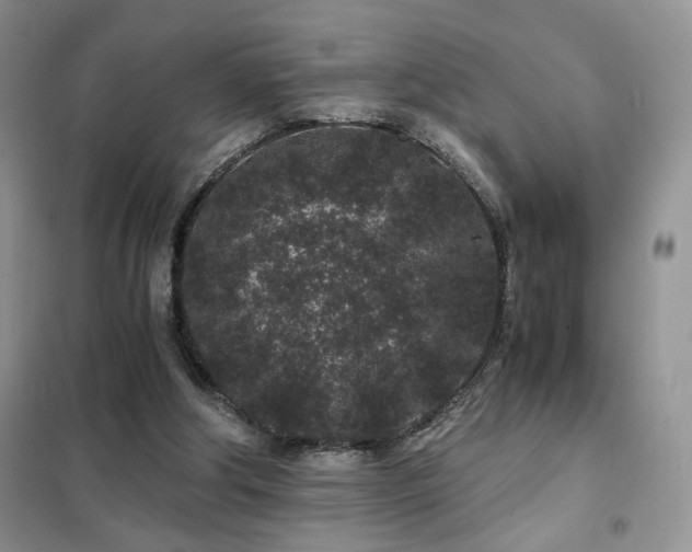 X0000102340202200808011148