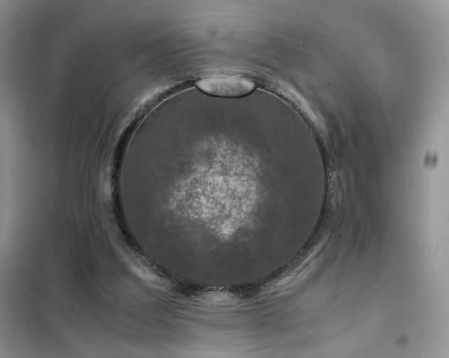 X0000102340203200808011148